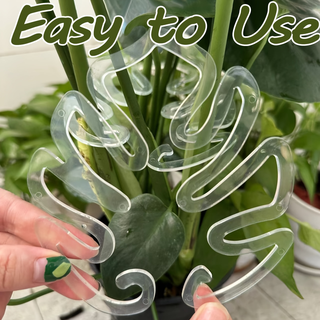 Variegated Monstera Node - Flexible Plastic Monstera Plant Support Clips,