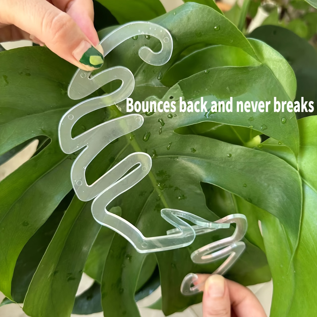 Flexible Plastic Monstera Plan - Variegated Monstera Node ulasan dan harga