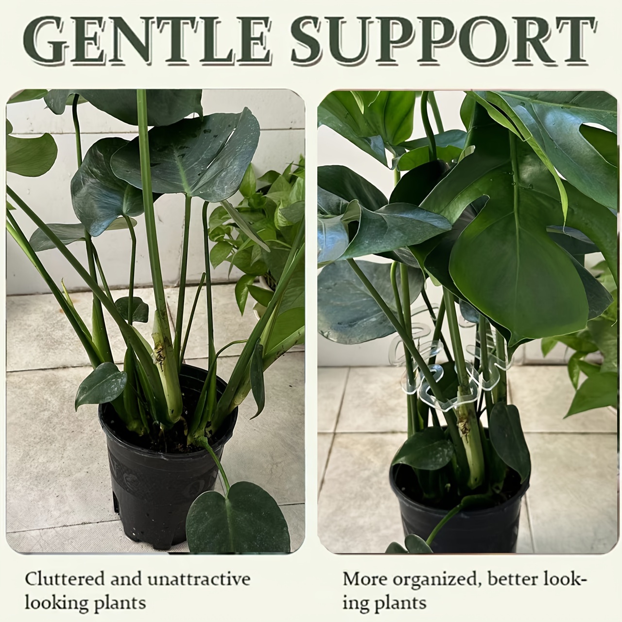 Flexible Plastic Monstera Plan - Variegated Monstera Node ulasan dan harga