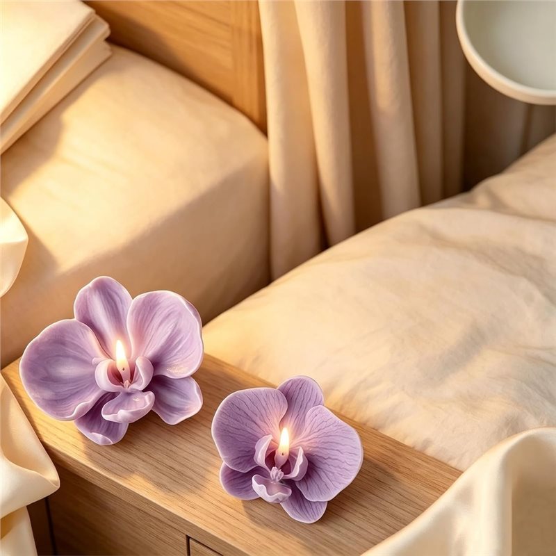ABKP-For Fondant Chocolate Can - Orchid Phalaenopsis ulasan dan harga
