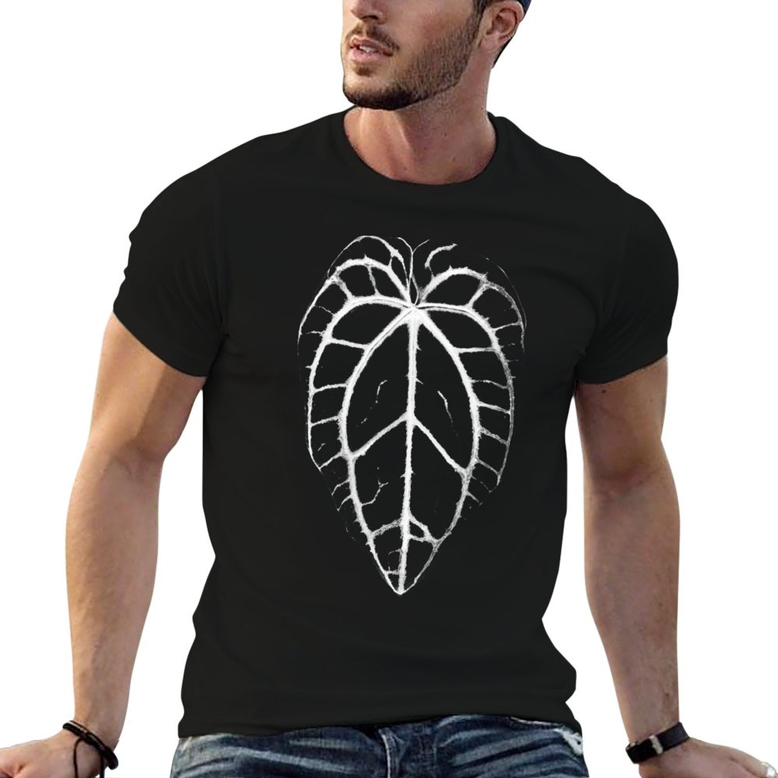 ANTHURIUM CRYSTALLINUM VEINS T - Anthurium Crystallinum ulasan dan harga
