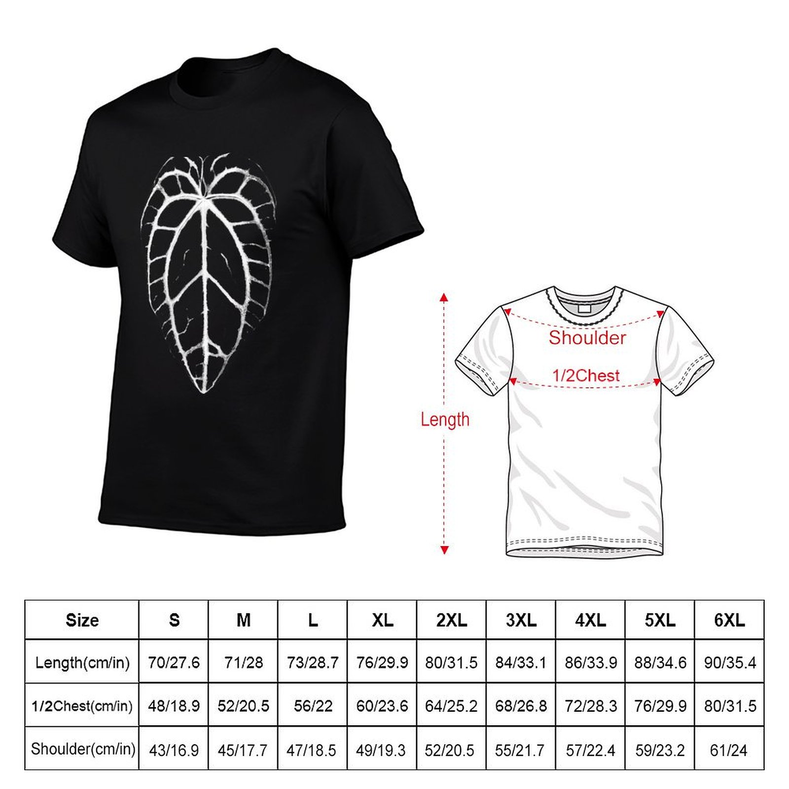 ANTHURIUM CRYSTALLINUM VEINS T - Anthurium Crystallinum ulasan dan harga