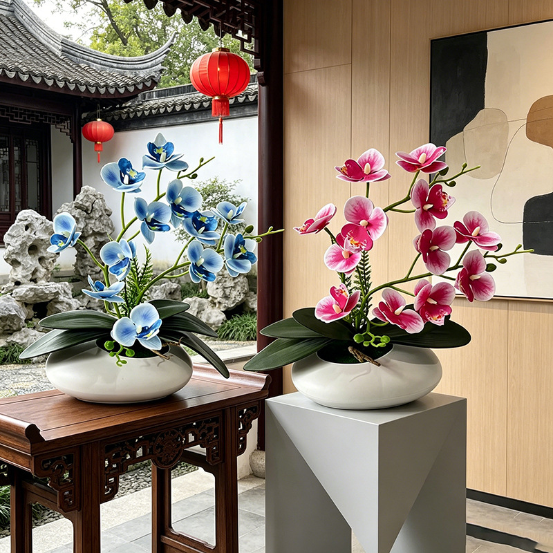 Butterfly Orchid 12 Flower Bon - Orchid Phalaenopsis ulasan dan harga
