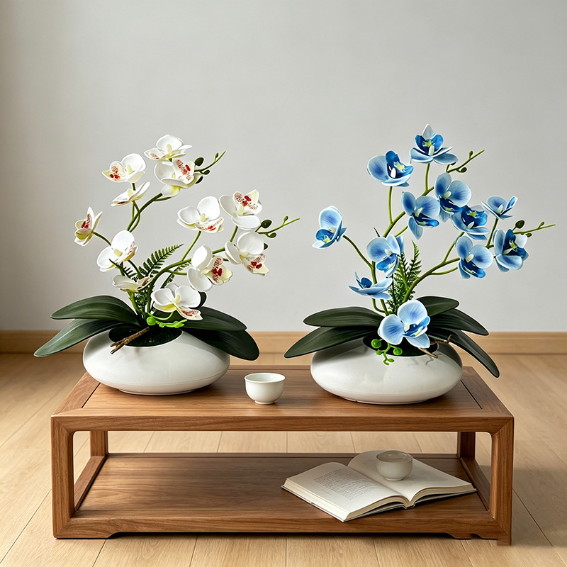 Butterfly Orchid 12 Flower Bon - Orchid Phalaenopsis ulasan dan harga