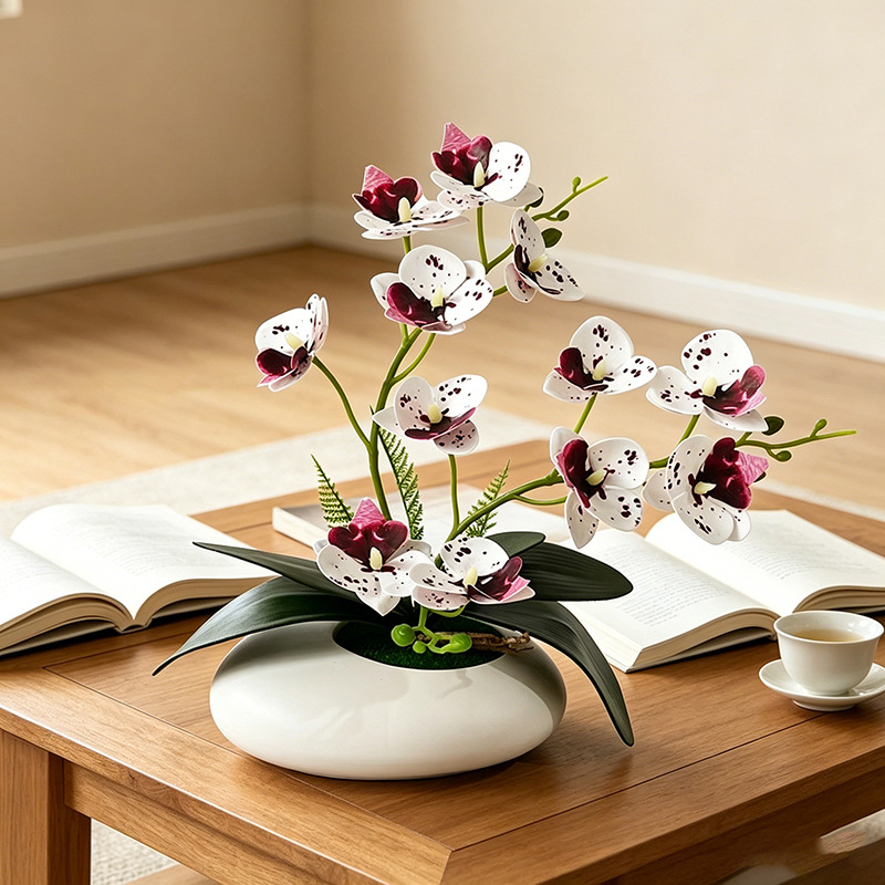 Butterfly Orchid 12 Flower Bon - Orchid Phalaenopsis ulasan dan harga