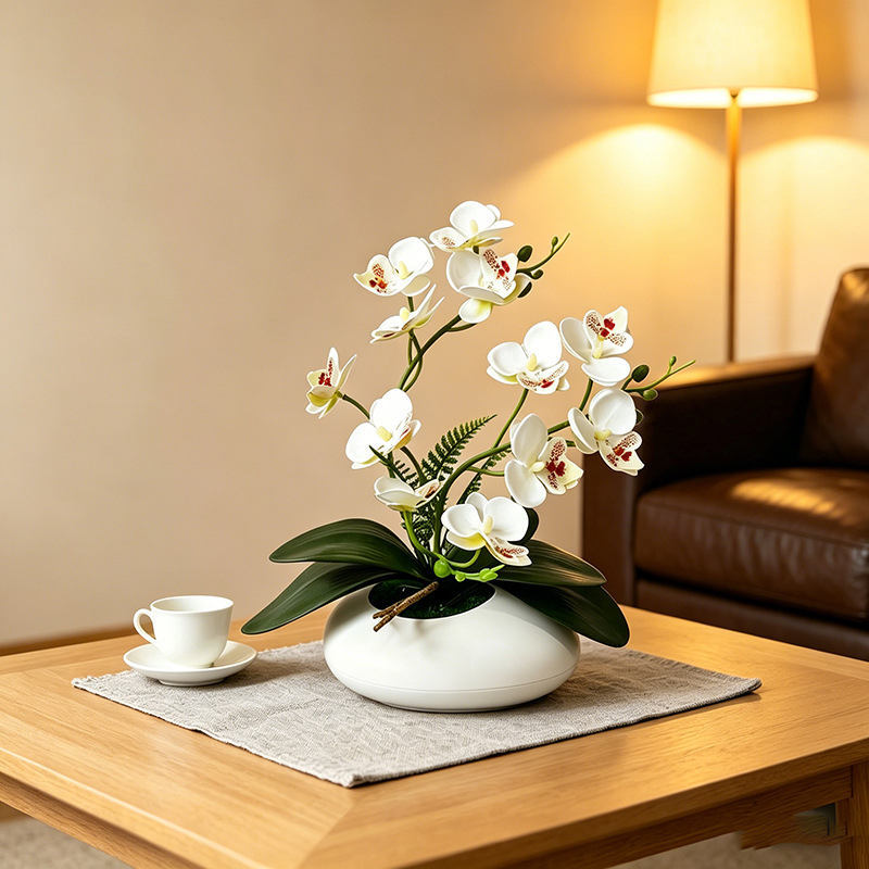 Butterfly Orchid 12 Flower Bon - Orchid Phalaenopsis ulasan dan harga
