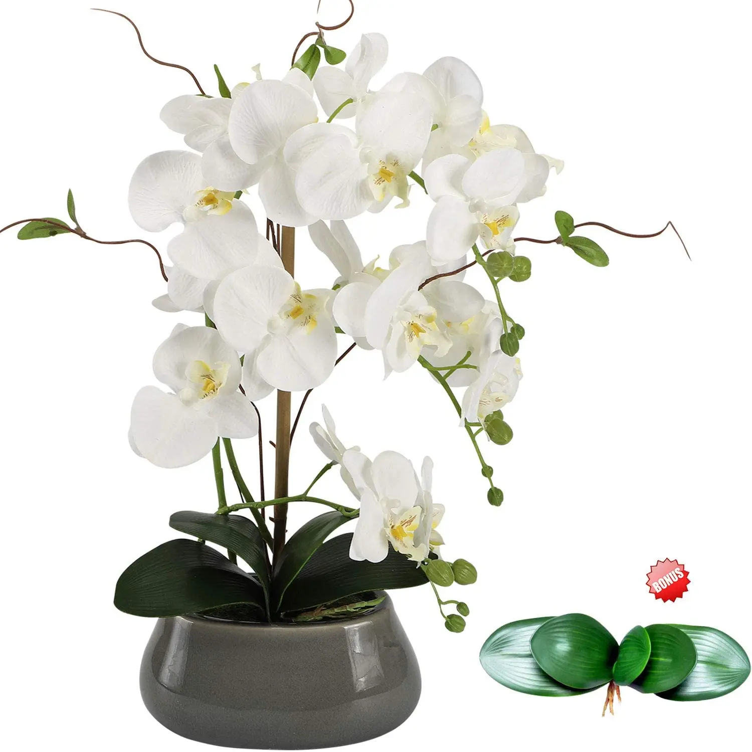 Artificial Orchid Flowers Cent - Orchid Phalaenopsis ulasan dan harga