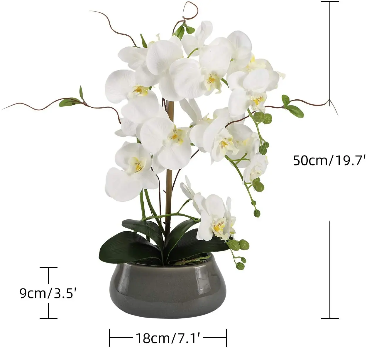 Artificial Orchid Flowers Cent - Orchid Phalaenopsis ulasan dan harga