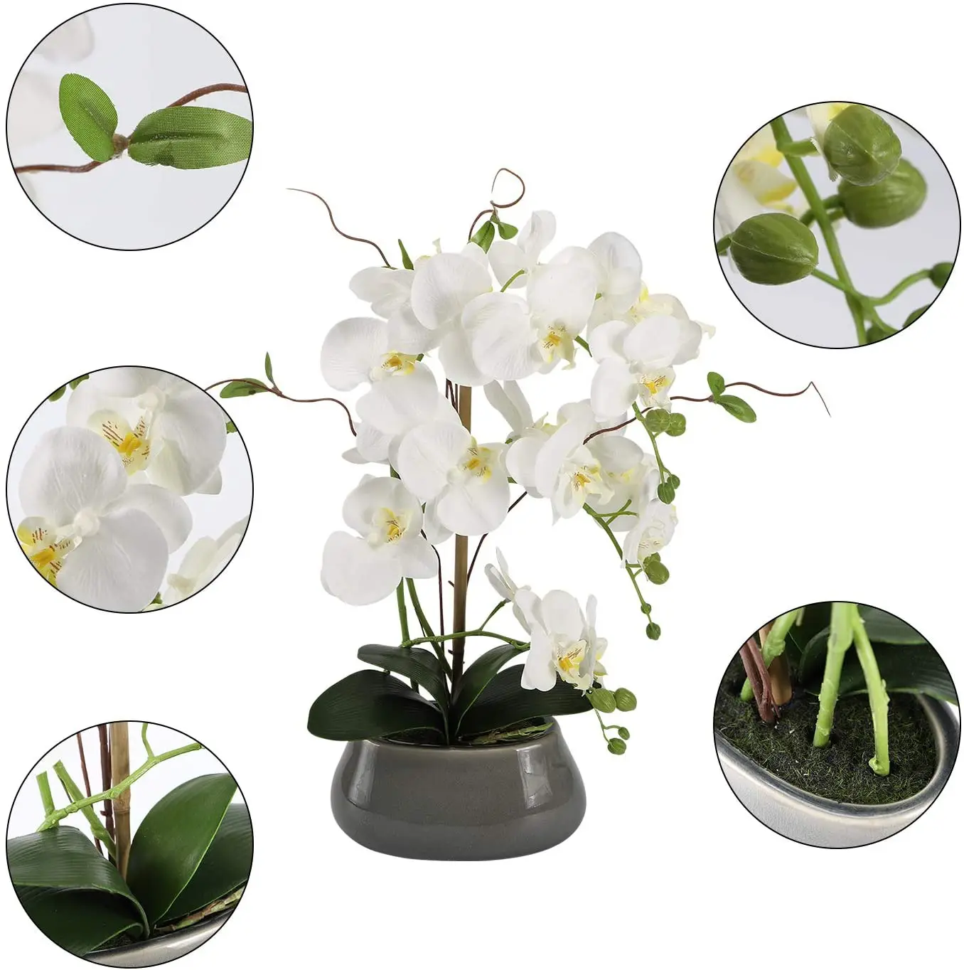Artificial Orchid Flowers Cent - Orchid Phalaenopsis ulasan dan harga