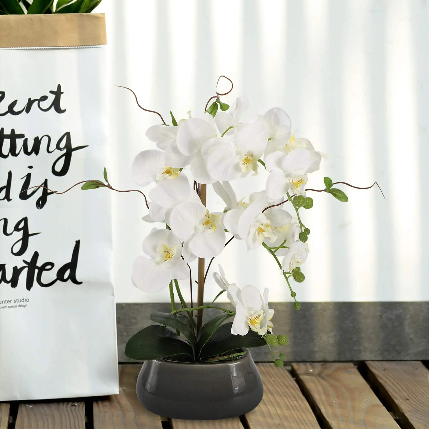 Artificial Orchid Flowers Cent - Orchid Phalaenopsis ulasan dan harga