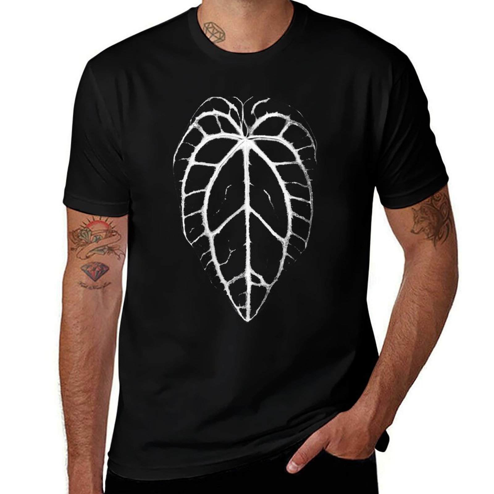 ANTHURIUM CRYSTALLINUM VEINS T - Anthurium Crystallinum ulasan dan harga