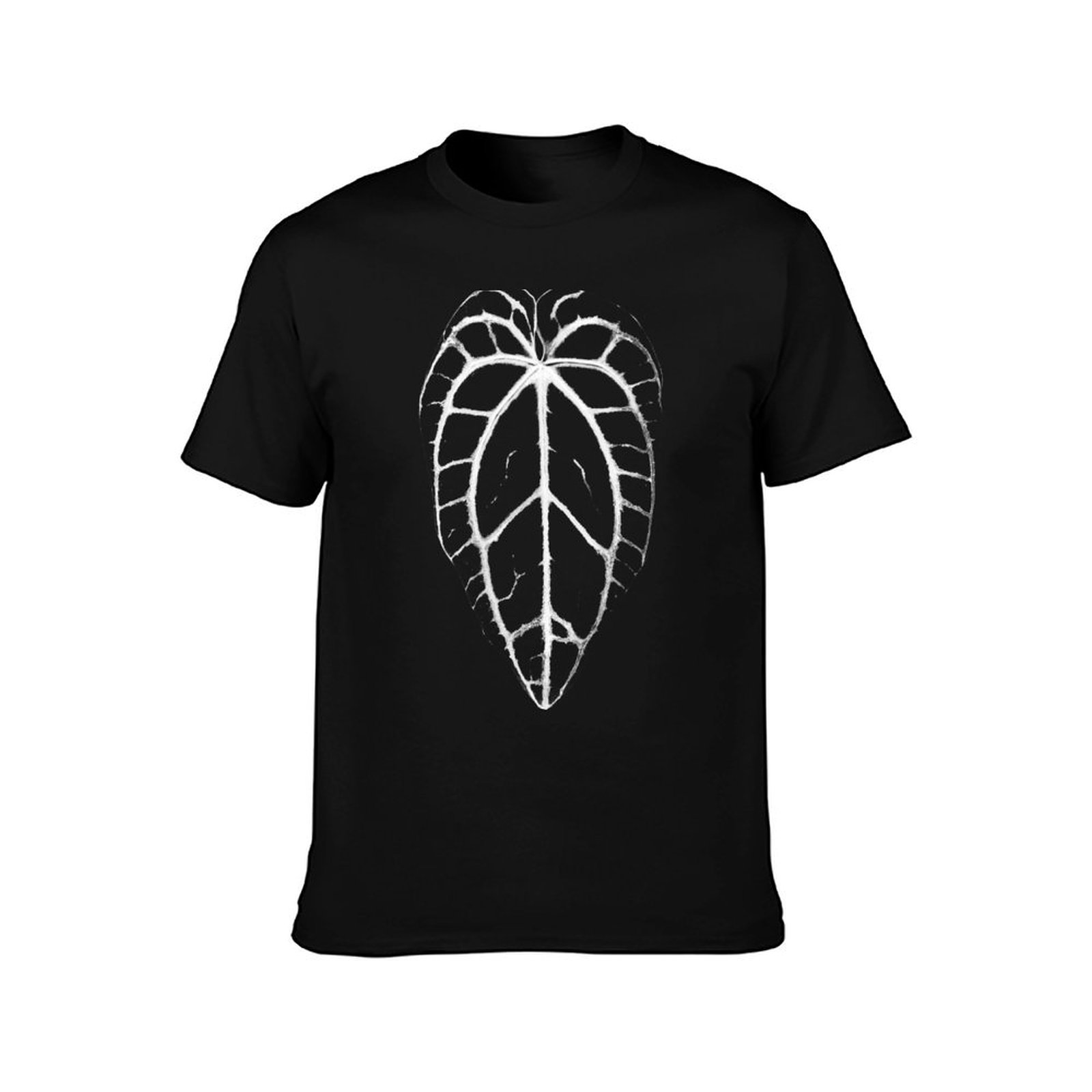 ANTHURIUM CRYSTALLINUM VEINS T - Anthurium Crystallinum ulasan dan harga