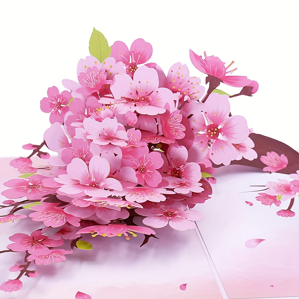 Cymbidium Orchids Pop-up Greet - Orchid Phalaenopsis ulasan dan harga